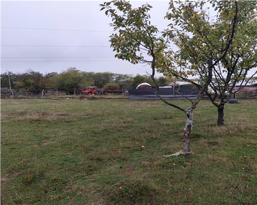 Vila Teisani sat Stubeiu 11250 mp