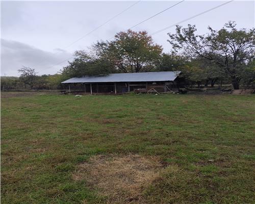 Vila Teisani sat Stubeiu 11250 mp