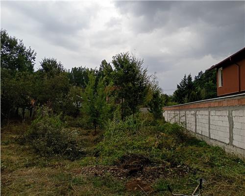 Baicoi Zona Rezidentiala Noua 572 mp