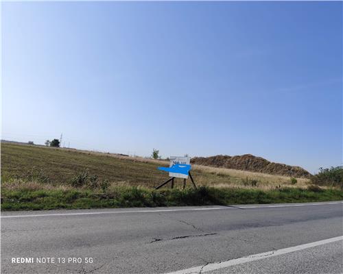 2500 mp Dn1 A Cocorastii Colt