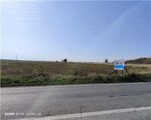 2500 mp Dn1 A Cocorastii Colt