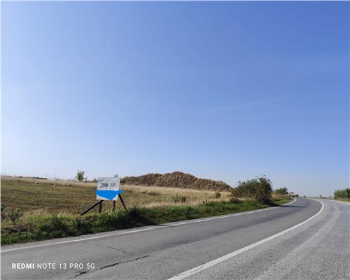 2500 mp Dn1 A Cocorastii Colt