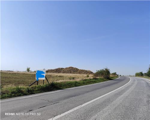 2500 mp Dn1 A Cocorastii Colt