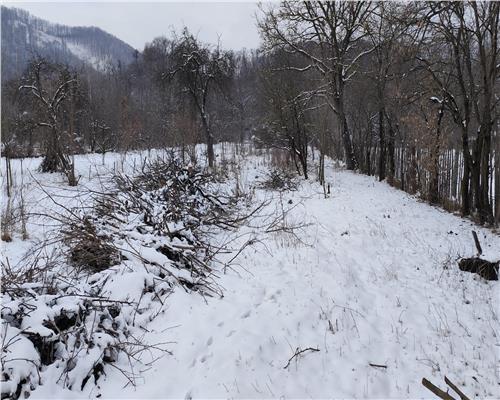 Teren 3310 mp + Casa Batraneasca Bobolia