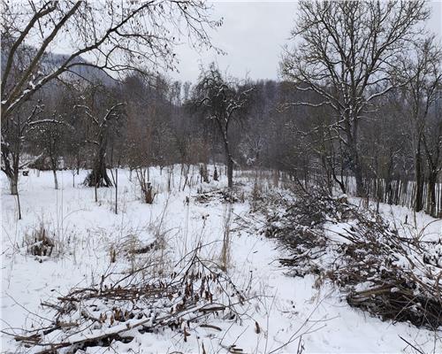 Teren 3310 mp + Casa Batraneasca Bobolia