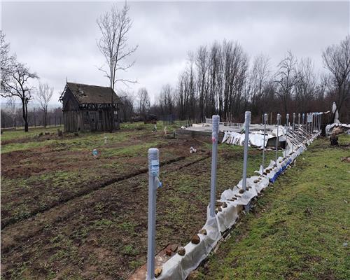 Vanzare 590 mp Teren+ Fundatie Casa Baicoi