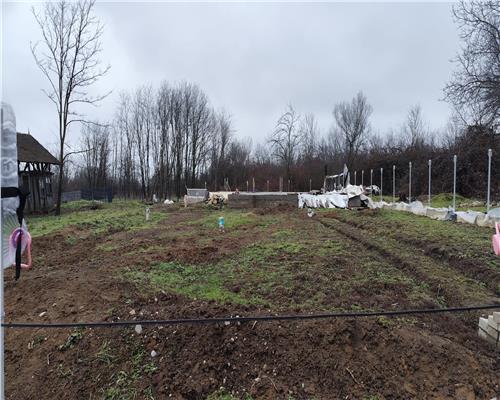 Vanzare 590 mp Teren+ Fundatie Casa Baicoi