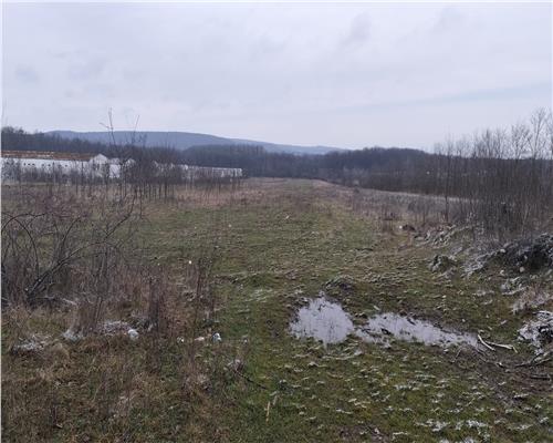 Baicoi 7500 mp Intravilan