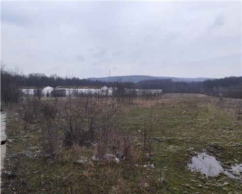 Baicoi 7500 mp Intravilan