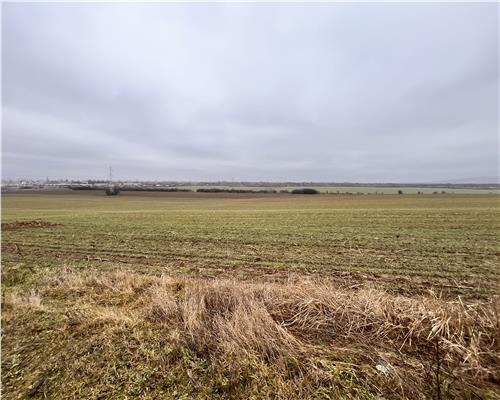 Teren intravilan 4792 mp,  Bucov