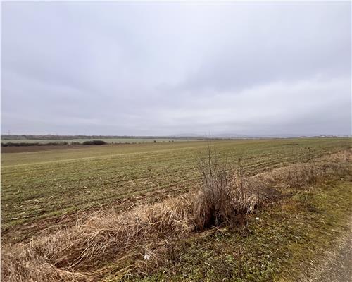 Teren intravilan 4792 mp,  Bucov