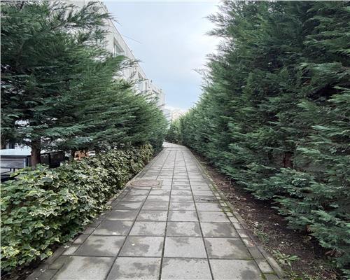 Apartament 2 camere, tip duplex, curte proprie, Ploiesti, zona central