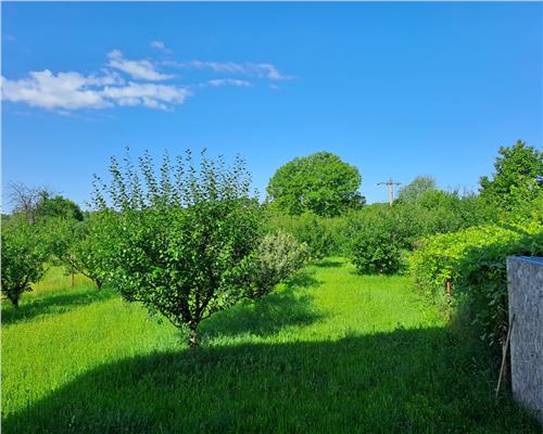 Casa + anexe 2756 mp teren Baicoi zona Tufeni