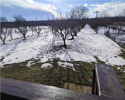 Casa + anexe 2756 mp teren Baicoi zona Tufeni