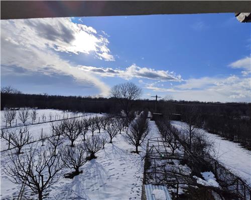 Casa + anexe 2756 mp teren Baicoi zona Tufeni