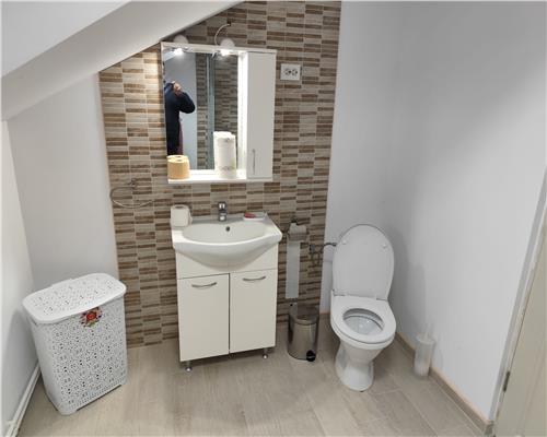 Casa + anexe 2756 mp teren Baicoi zona Tufeni