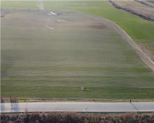 Teren intravilan 2500mp, Bucov