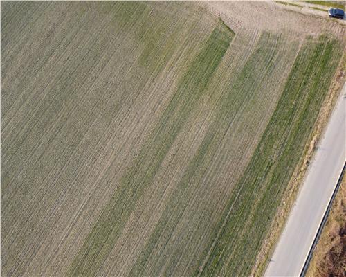 Teren intravilan 2500mp, Bucov